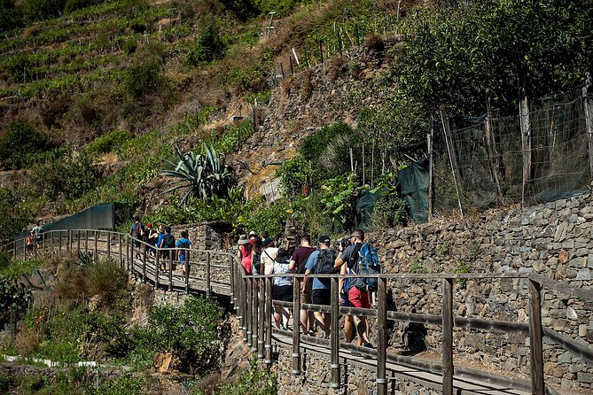 Cinque Terre Day Trip From Florence With Optional Hiking - Tour Details