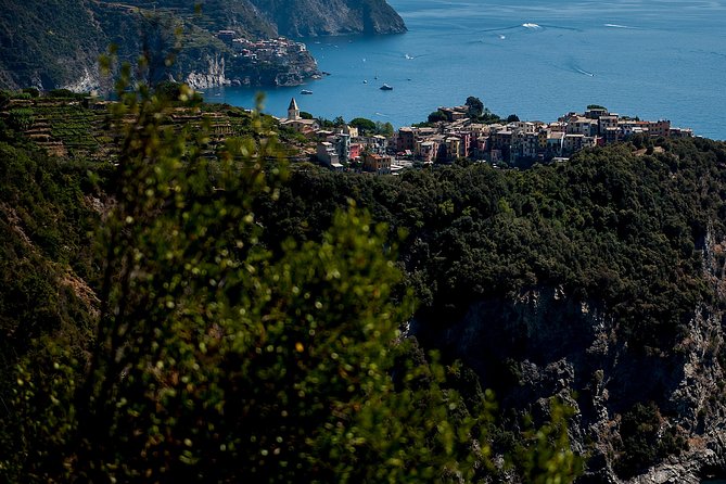 Cinque Terre Day Trip From Florence With Optional Hiking - Reviews