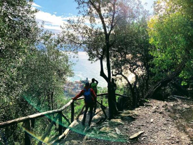 Cinque Terre: Eco Hiking and Wine Tasting - Hiking Trails Description