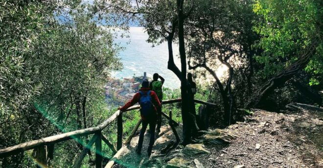 Cinque Terre: Eco Hiking and Wine Tasting - Wine Tasting Highlights