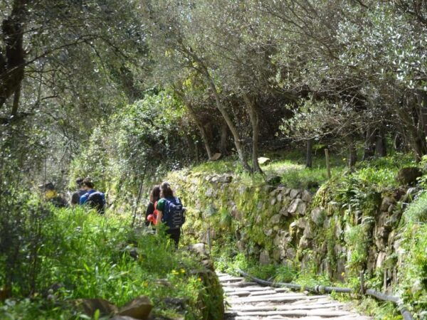 Cinque Terre: Eco Hiking and Wine Tasting - Customer Reviews