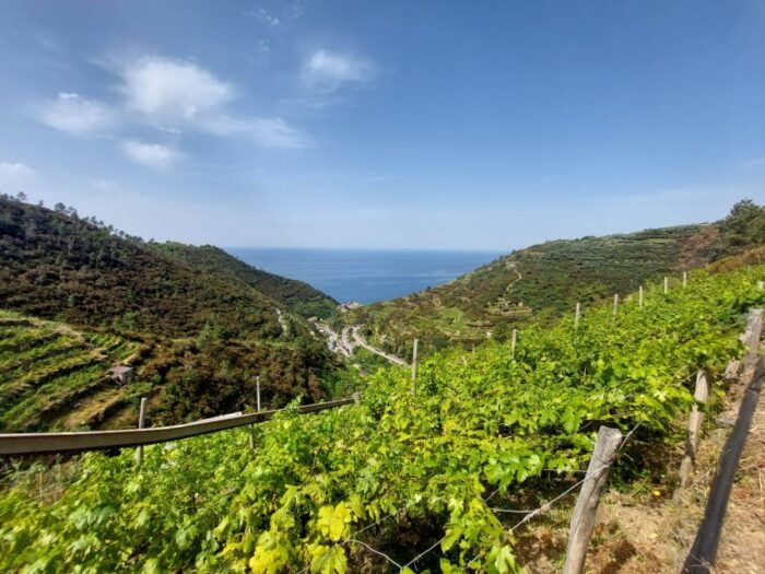 Cinque Terre from Riomaggiore to Manarola and vineyards - What to Consider Before Booking