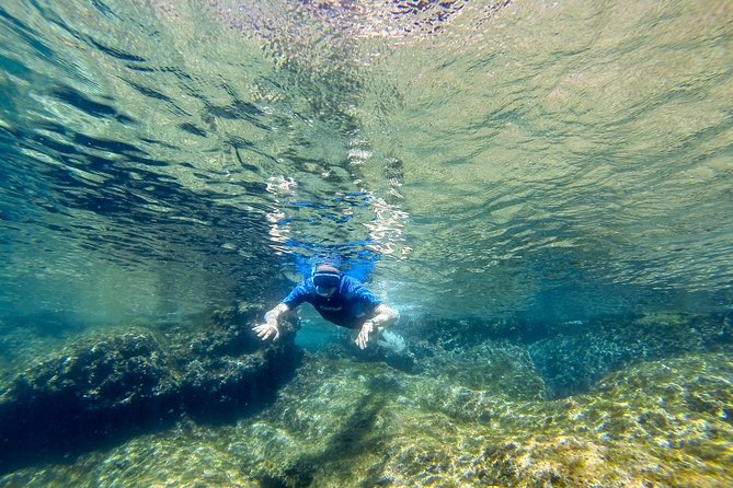 Cinque Terre Half Day Kayak Trip From Monterosso - Meeting and Logistics