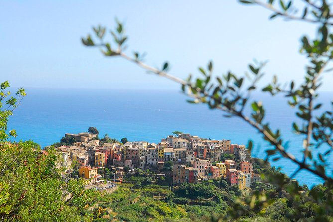 Cinque Terre Pesto Making Class, Boat Tour and Lunch - Pricing and Booking Information