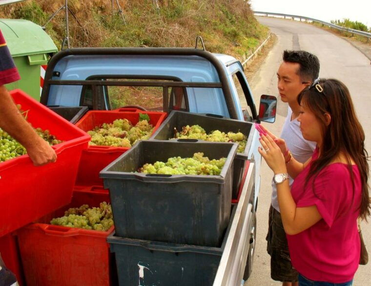 Cinque Terre Private Day Trip from Florence - Who Will Love This Tour?