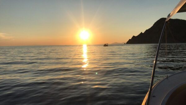 Cinque Terre: Private Day Trip From Florence With Lunch - The Sum Up