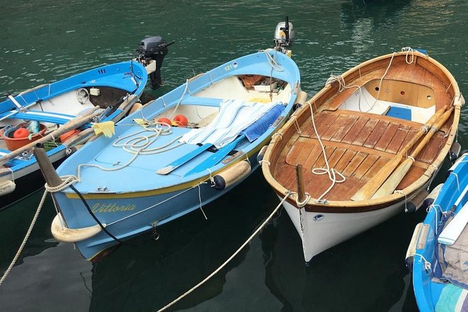 Cinque Terre Private Tour - the Unique Coast on the Mediterranean Sea - Tour Highlights