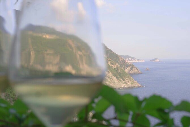 Cinque Terre Private Wine And Views Tour - The Itinerary in Detail