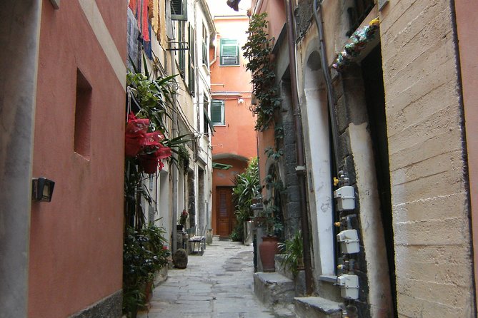 Cinque Terre Shore Excursions From Livorno Port - Tour Description