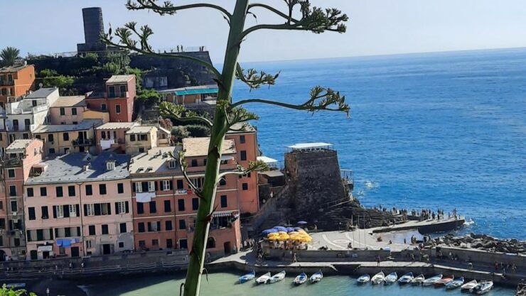 Cinque Terre Small Group Day Tour From Montecatini Terme - Good To Know