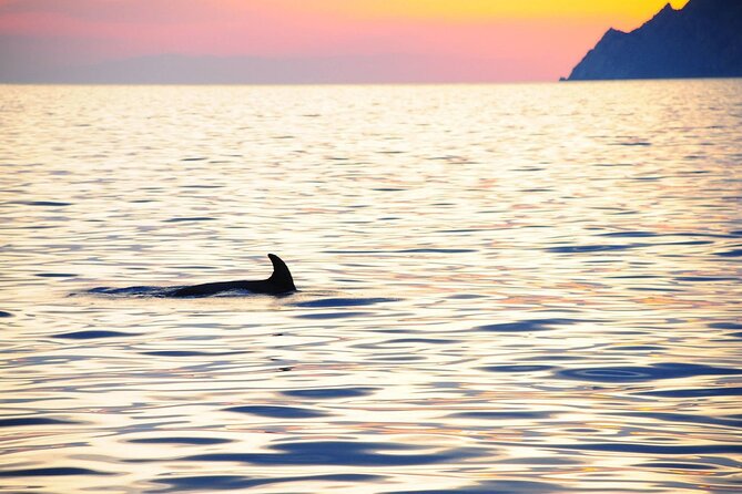 Cinque Terre Sunset Cruise With Aperitif - Safety and Requirements