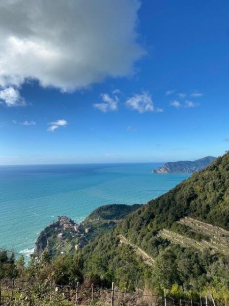 Cinque Terre Tour by Shuttle From Lucca, Pisa or La Spezia - The Sum Up