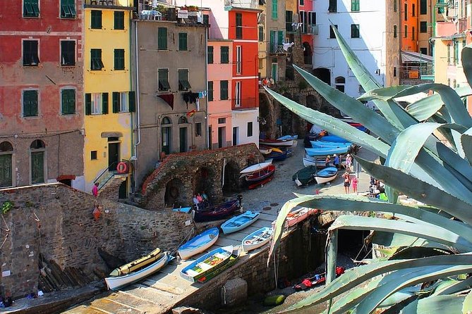 Cinque Terre Tour From Florence - Itinerary Details
