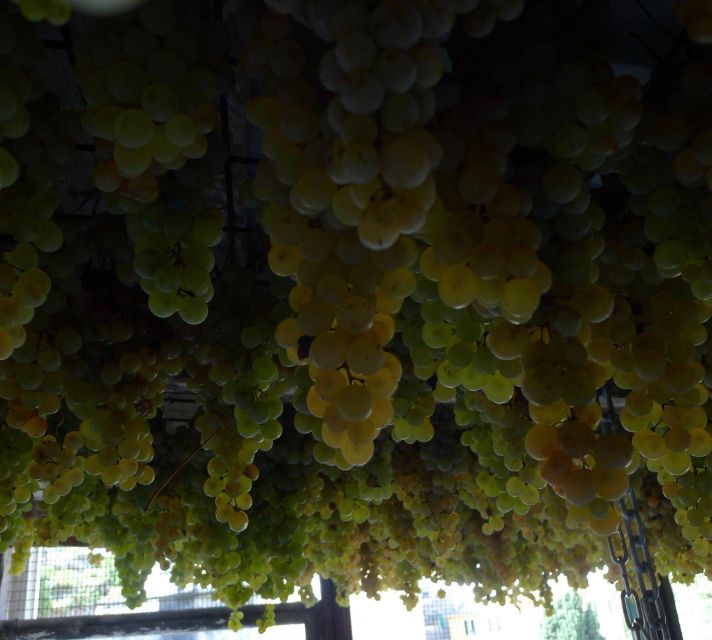 Cinque Terre Wine Tour and Tasting With the Somelier - Good To Know