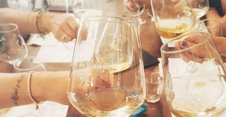 Cinque Terre Wine Tour and Tasting With the Somelier - Experience Description