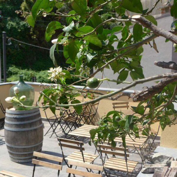 Cinque Terre Wine Tour and Tasting With the Somelier - The Sum Up