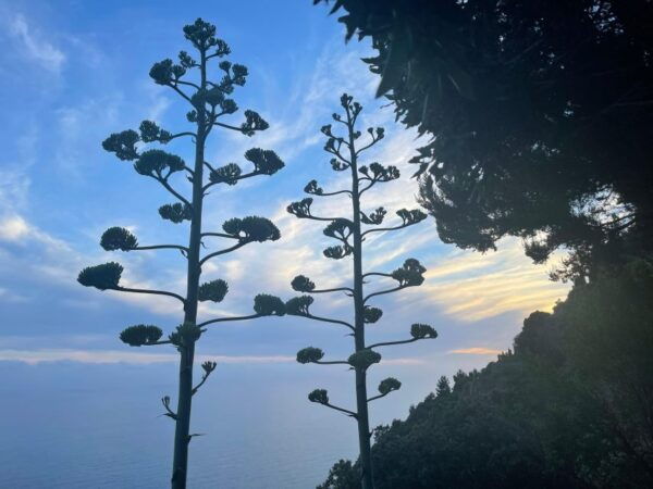 Cinqueterre Experience - Meeting Point