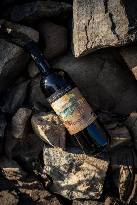 Cinqueterre: Wine Tasting in the Cellar With a Visit to the Vineyards - Winemaking Tradition and Legacy