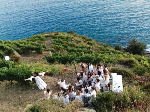 Cinqueterre: Wine Tasting in the Cellar With a Visit to the Vineyards - Frequently Asked Questions
