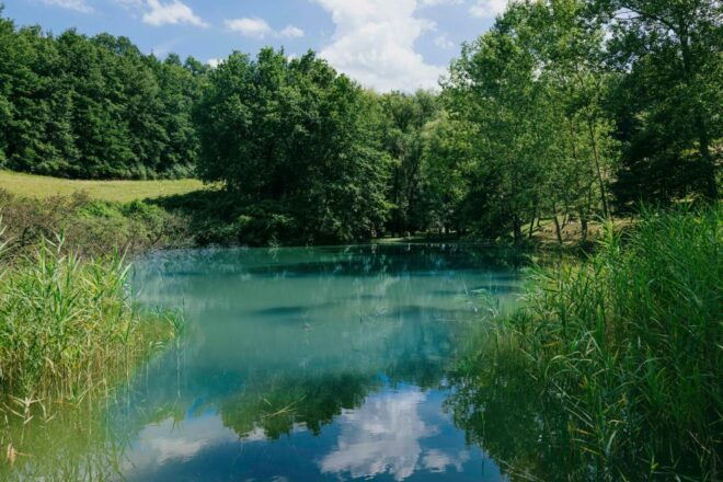 CINTA SENESE EXPERIENCE - Experience Description