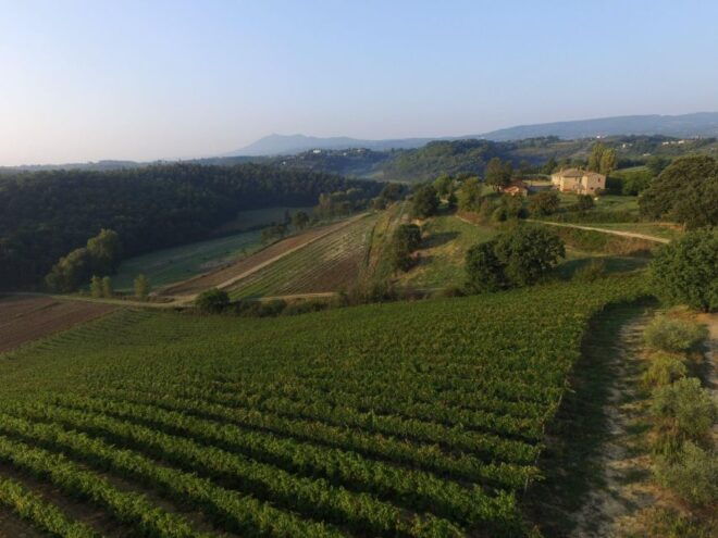 CINTA SENESE EXPERIENCE - Pricing and Duration