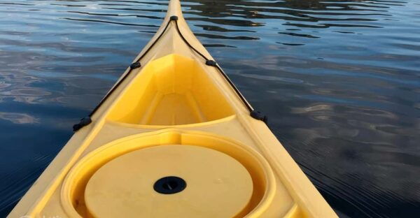 Circeo National Park:Guided Kayak Tour on the Lake Sabaudia - Customer Feedback