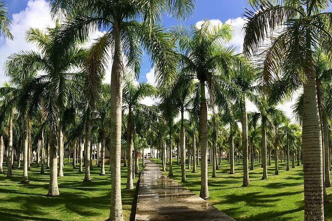 Circle at Paradisus Palma Real - Round Trip Shuttle - Punta Cana Airport - Shuttle Service Overview