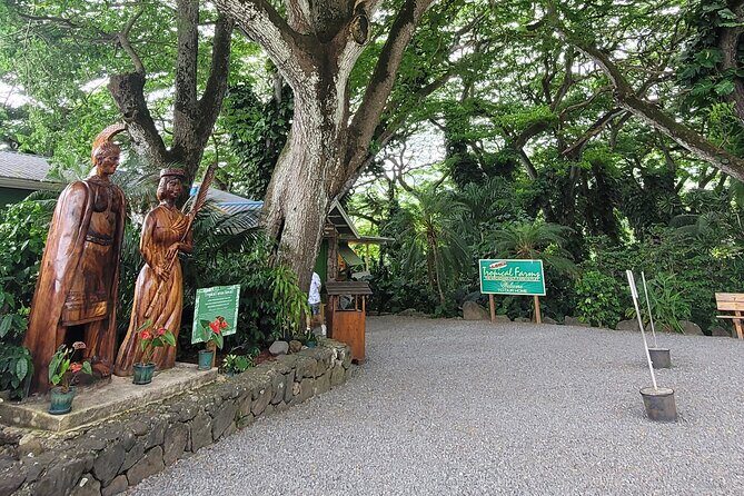 Circle Island 8hr Private Small Group Tour - Good To Know