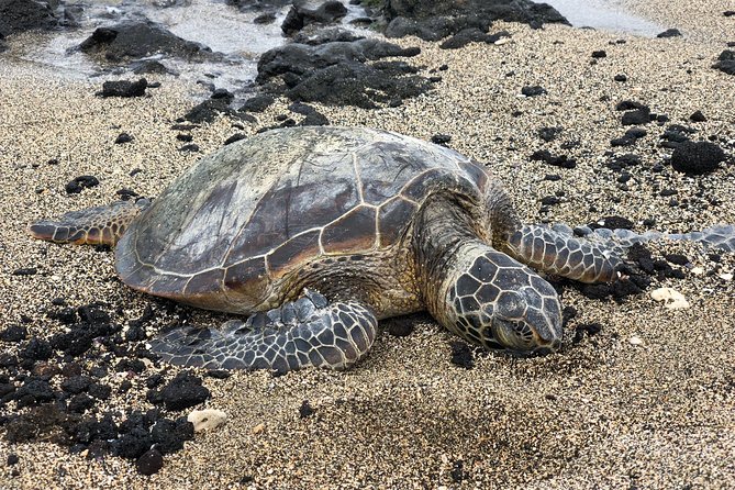 Circle Island Adventure Tour With Custom Itinerary - Meeting and Pickup