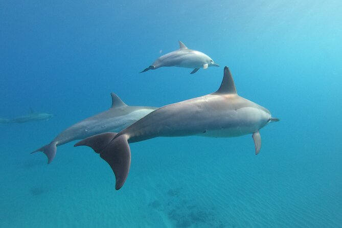 Circle Island Adventure Tour With Custom Itinerary - Cancellation Policy