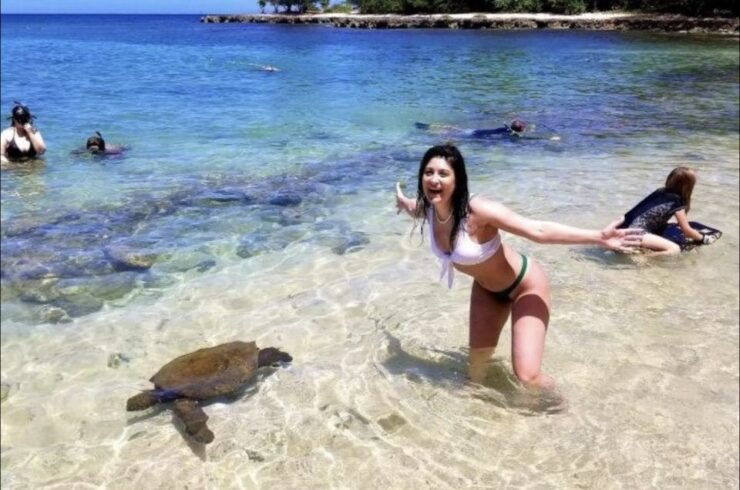 Circle Island: Swim With Turtles And Explore Paradise Oahu - Island Exploration and Cultural Heritage