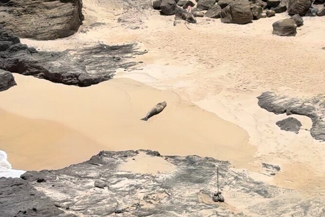 Circle Island Tour: Exclusively for Couples & Honeymooners - An In-Depth Look at the Itinerary