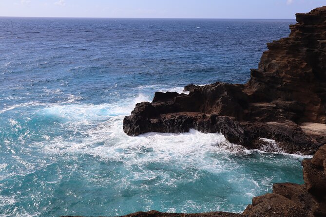 Circle Island Tour With Snorkeling & Turtles - Exploring Macadamia Nut Farms