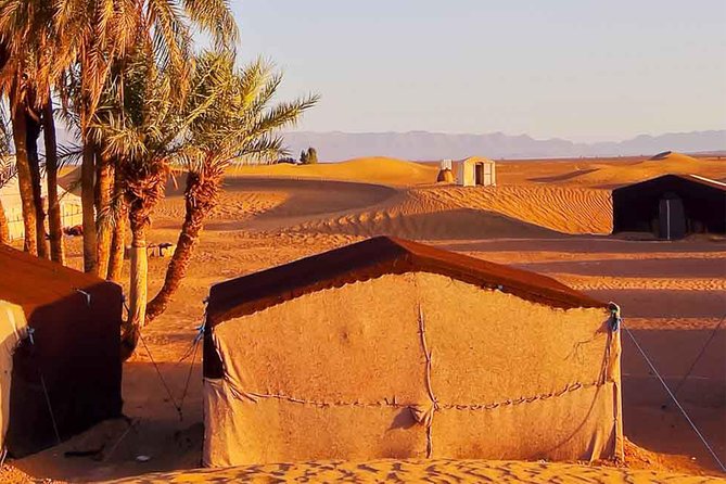 Circuit the Great South From Agadir 4 Days - Itinerary Highlights