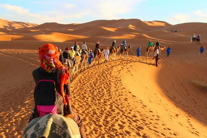 Circuit the South of Tunisia in 2 Days Sahara Explorer - Accommodation and Dining on the Tour