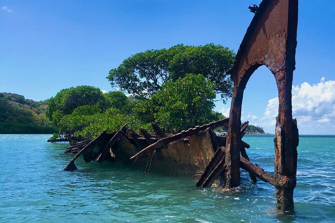 Circumnavigate Magnetic Islands Famous Five - Discover the Islands Abundant Wildlife