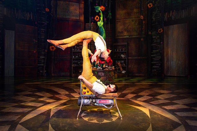 Cirque Du Soleil JOYA Performance From Playa Del Carmen - Cancun - Common Questions