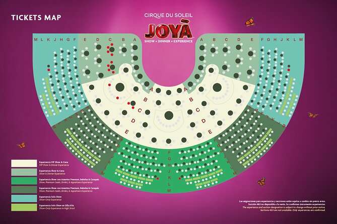 Cirque Du Soleil JOYA Show Ticket at Vidanta Riviera Maya  - Cancun - The Sum Up