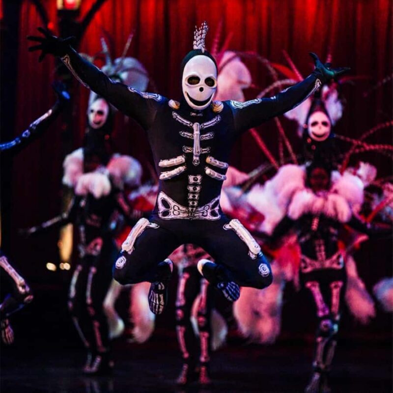 Cirque du Soleil KOOZA Show Ticket - The Sum Up