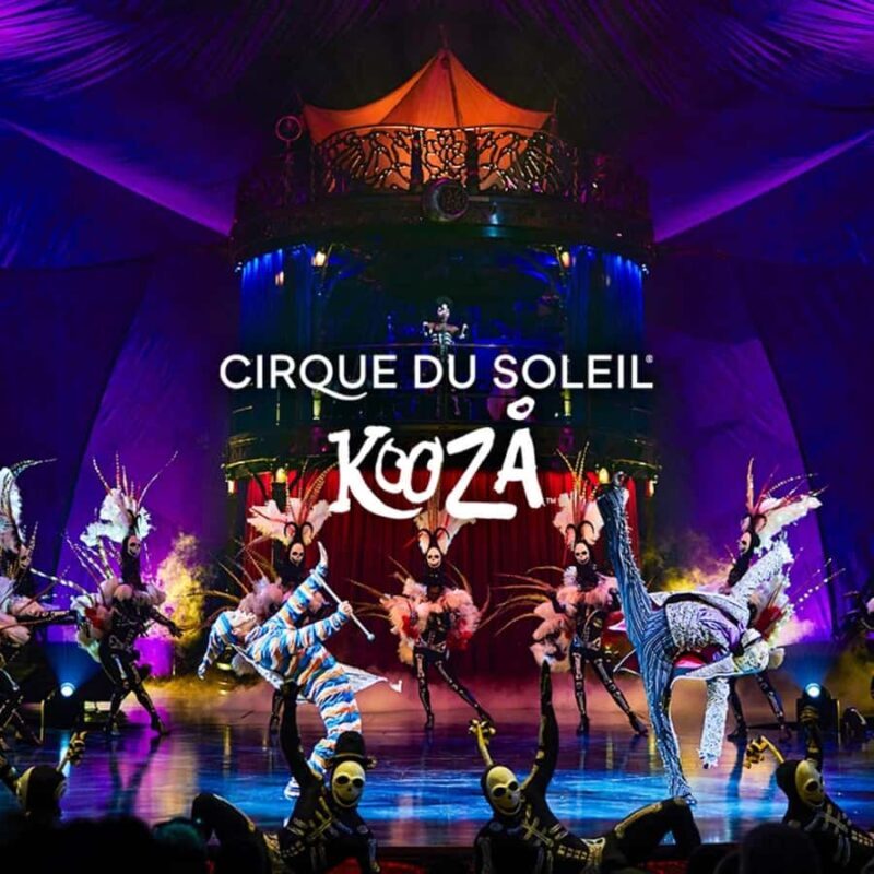 Cirque du Soleil KOOZA Show Ticket - Final Thoughts