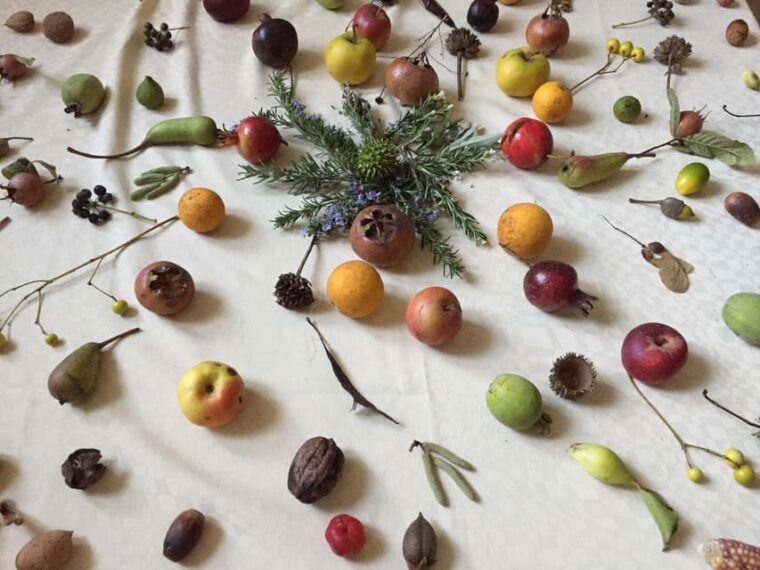 Cisternino: Make a Soap With Extra Virgin Olive Oil - Booking and Cancellation Policies