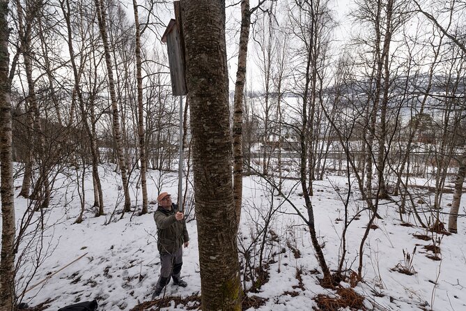 Citizen Science Monitor Owls in the Wilderness Near Tromsø - Directions