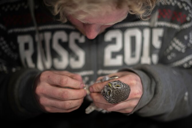 Citizen Science Monitor Owls in the Wilderness Near Tromsø - Common Questions
