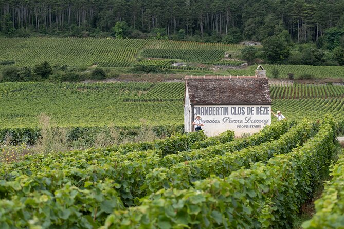Citroën 2CV Bourgogne Rental • Self-Guided Getaway - Traveler Photos