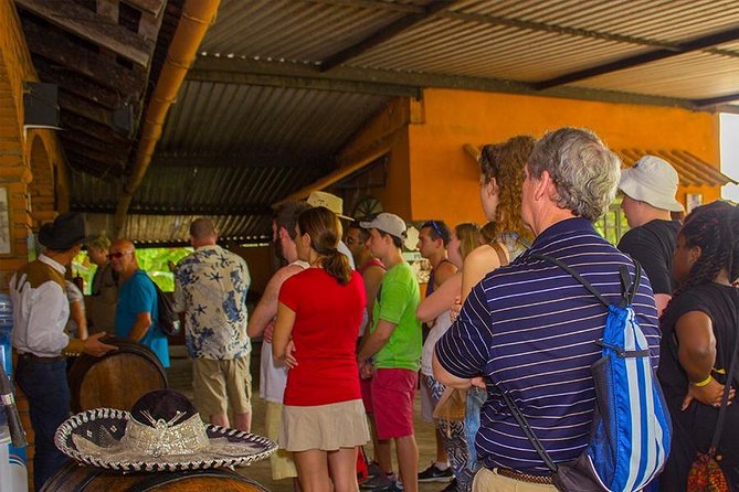 City and Tequila Tour in Puerto Vallarta - Reviews