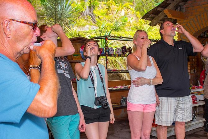 City and Tequila Tour in Puerto Vallarta - Questions and Additional Information