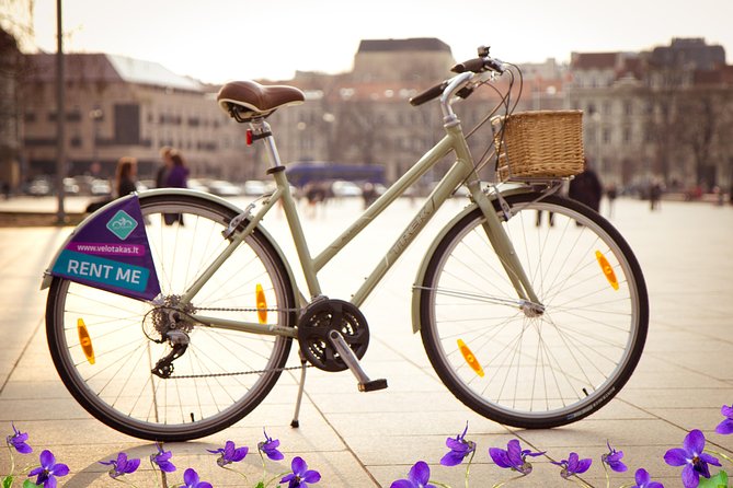 City Bike Rent in Vilnius for 1 Day - Good To Know