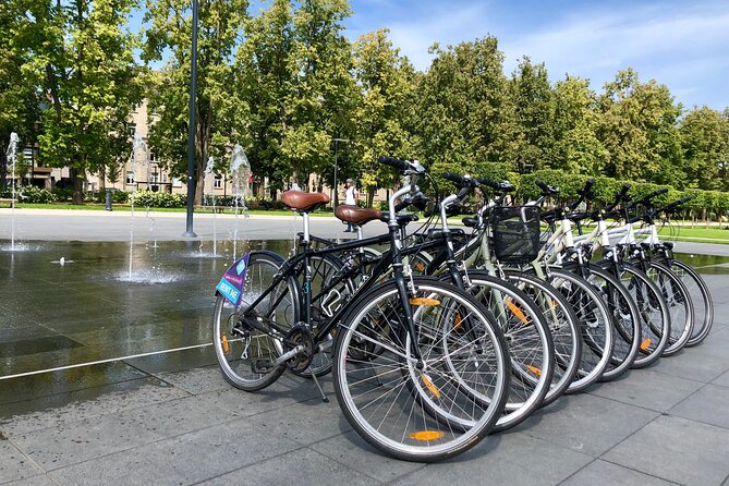 City Bike Rent in Vilnius for 1 Day - Pricing