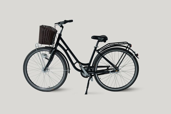 City Bike Rental in Dresden - End Point and Start Time