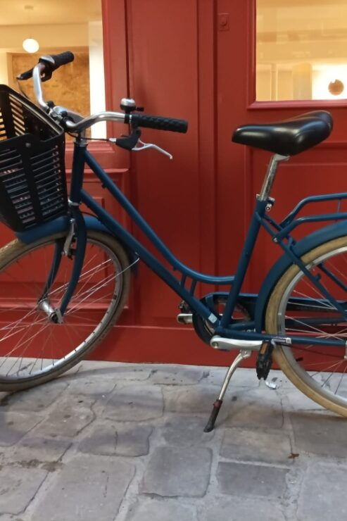 City Bike Rental in Paris (8h) - Highlights of the City Bike Rental